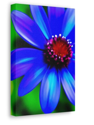 Blume Digital Abstrakt Kunstdruck BILD WANDBILD GERAHMT. Größe: 40 x 30 cm