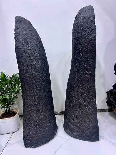 232 Pfund natürliche Amethyst Geode Quarz Kristall Cluster Kathedrale Energie Heilung - Bild 13 von 17
