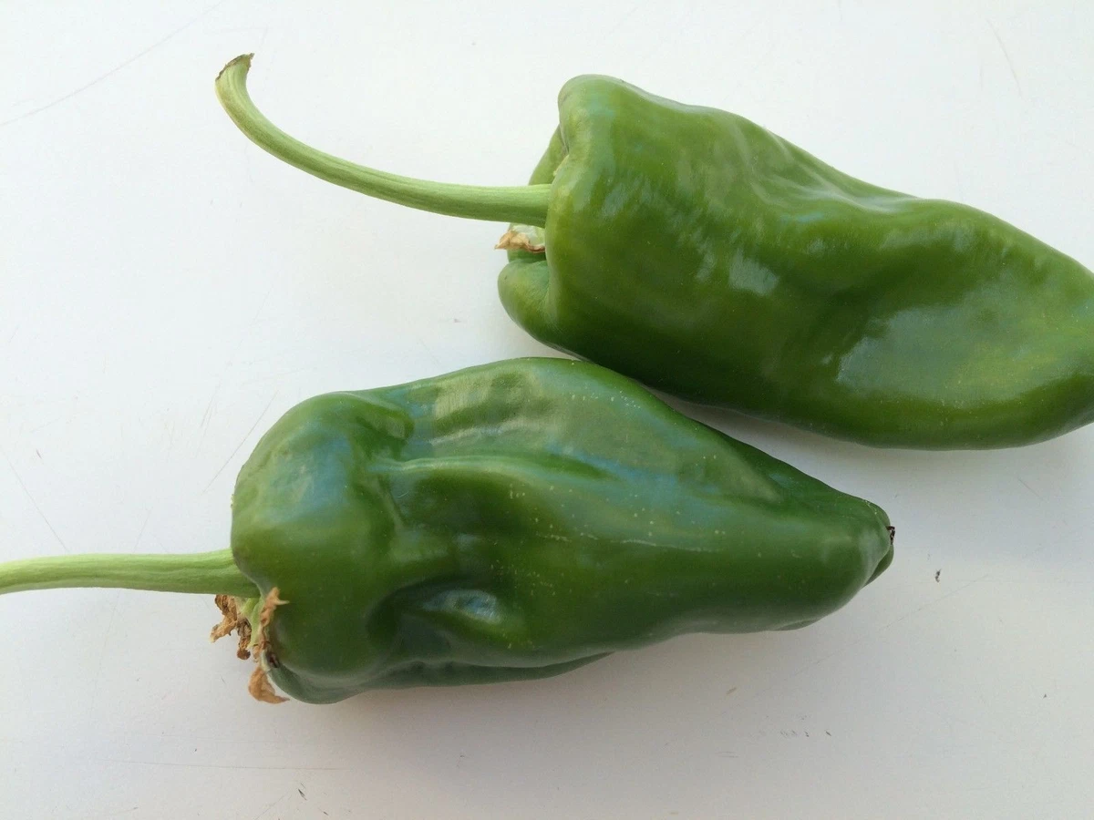 Pimientos de Padron online kaufen | eBay.de