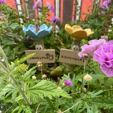 Bee & Butterfly Water Feeder Garden Insect Drinking Cup Resin Bath Station