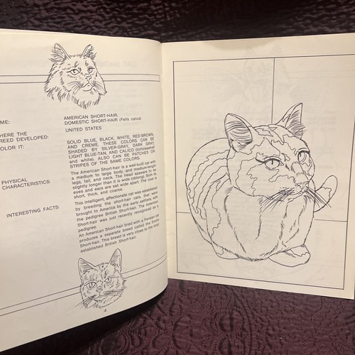 Endangered Species & Cats: An Educational Coloring Book Spizzirri Publication - Imagen 13 de 24