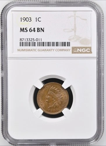 NGC MS-64 BN 1903 Indian Head Cent, Gorgeous Frosty Cartwheel Luster!