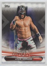 2019 Topps WWE Raw Lince Dorado #45 1z6