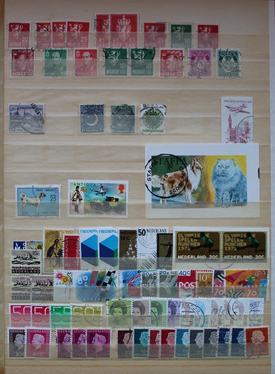 Bild 12 von 17