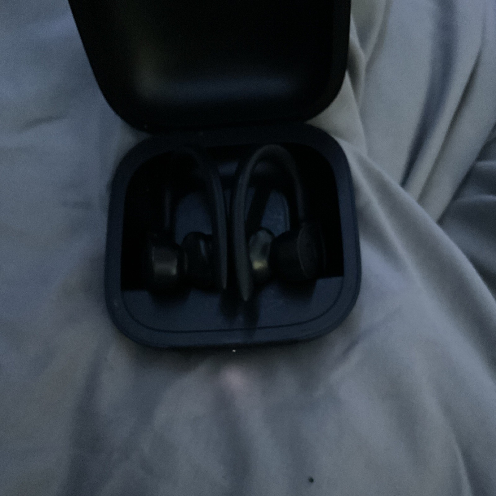 Beats by Dr. Dre Powerbeats Pro Wireless Bluetooth Ear-hook Earbuds Black