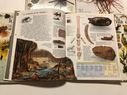 BIBLIOTECA VISUAL ALTEA. NATURALEZA. 1989 - Imagen 5 de 8