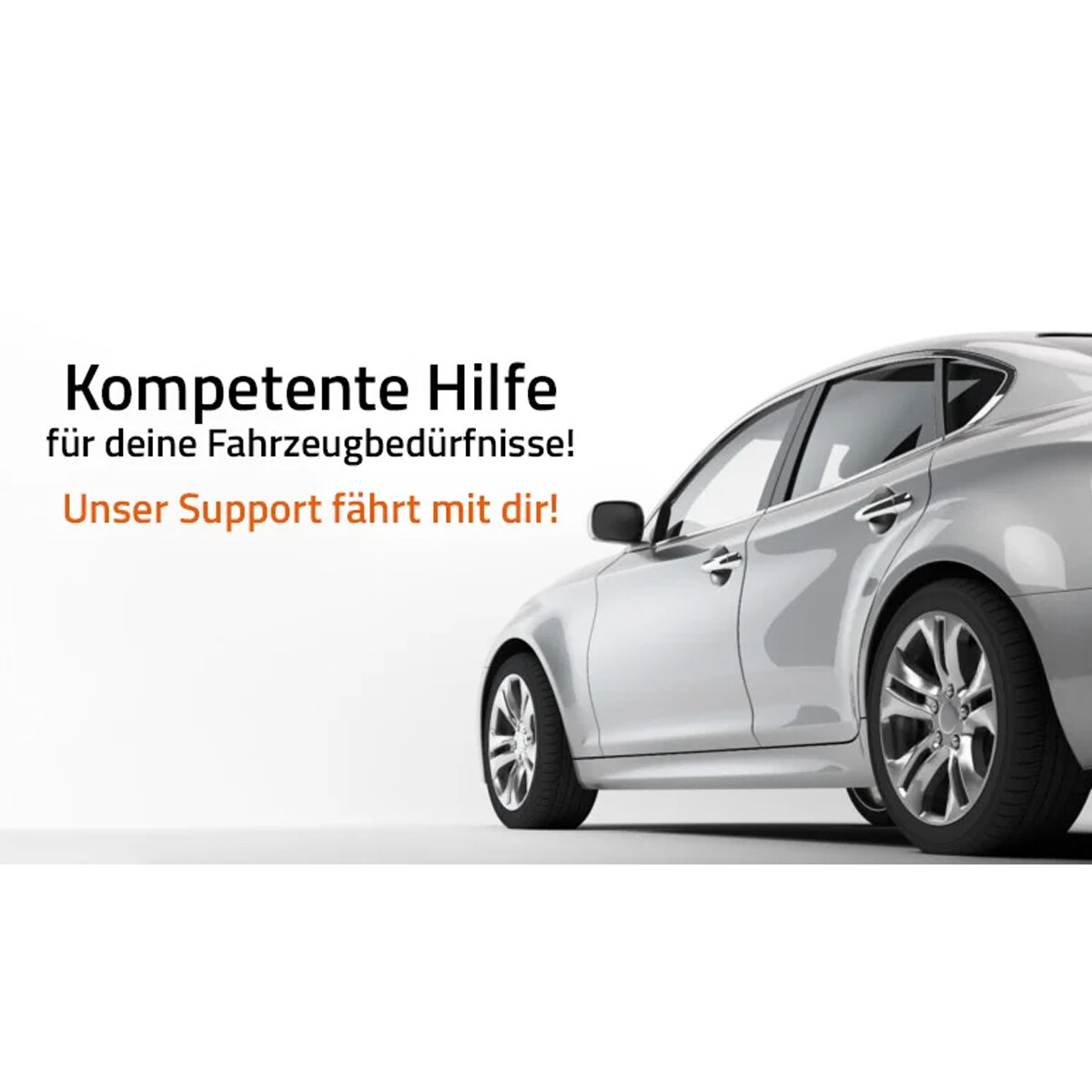 Bild 7 von 9