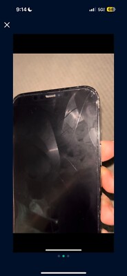 iPhone 12 Pro Max With TikTok