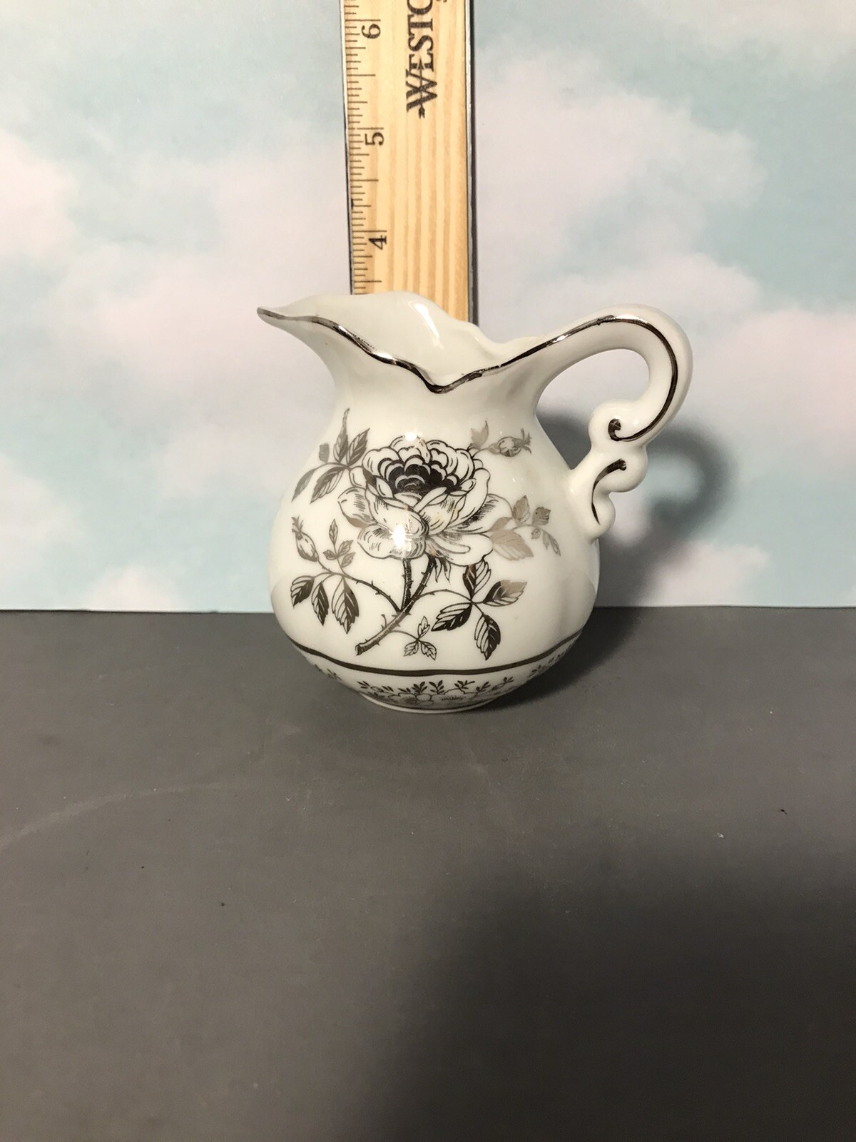 Picture 6 of 6