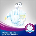 Imagen 2 de 12
