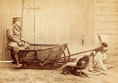 Astrakhan - fish cart with dogs Russia 1901 Old Photo