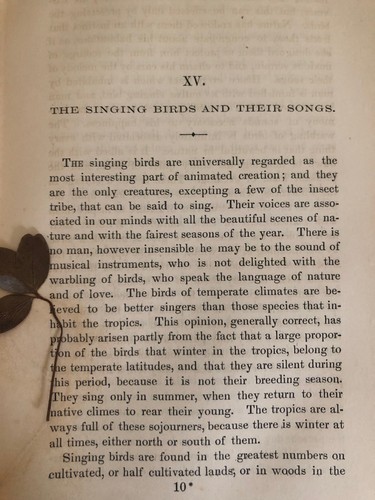 Studies In The Field And Forest (1857) Wilson Flagg Antique Book Nature Ecology - Picture 10 of 12