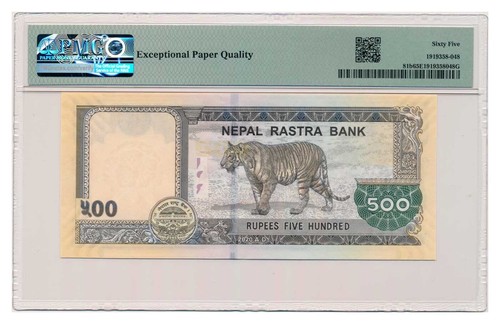Banconota NEPAL 500 rupie 2020 PMG MS 65 EPQ gemma non circolata - Foto 2 di 7