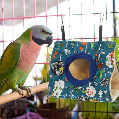 Bird Parrot lit soldes nidic