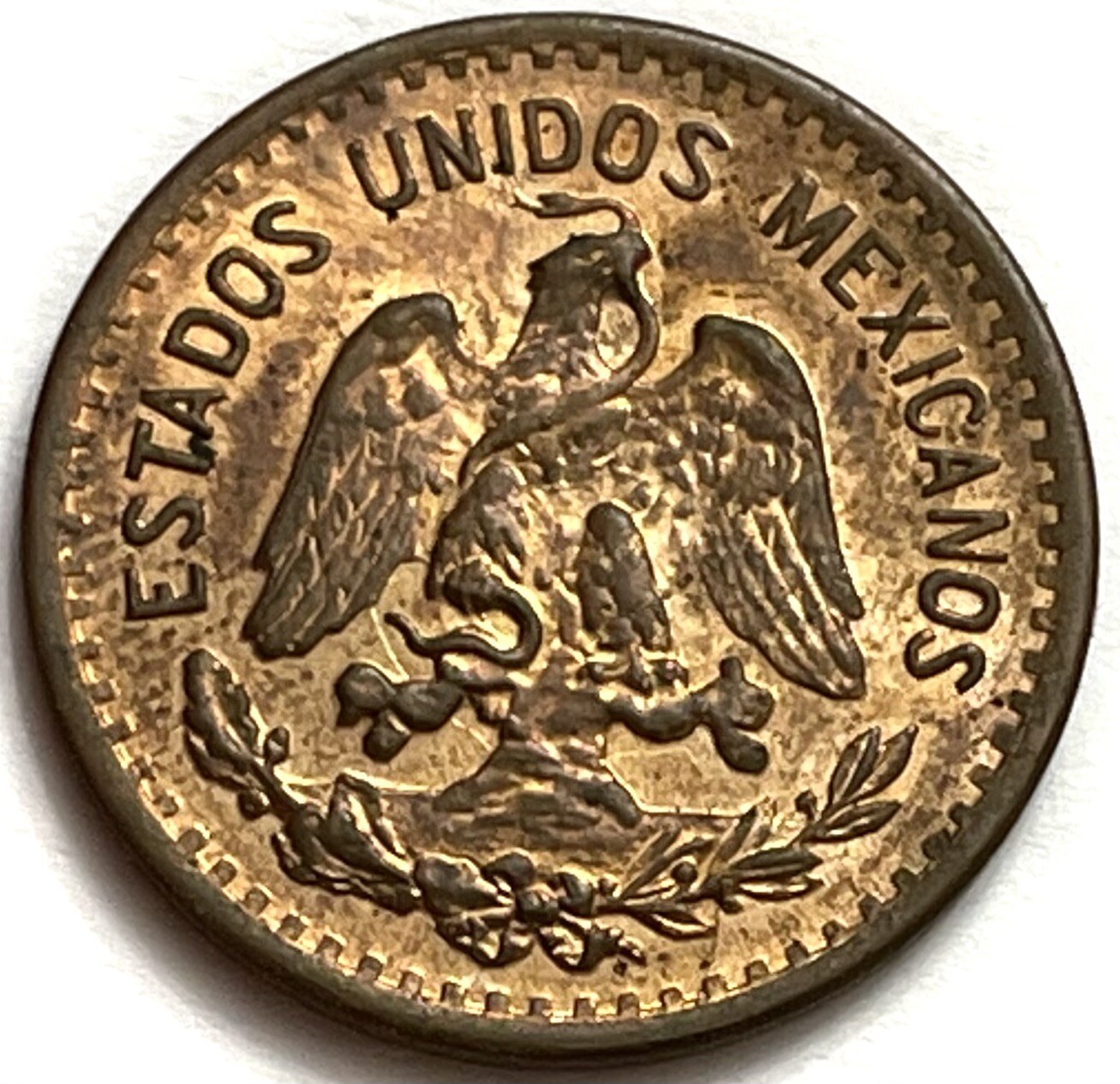 Foto 2 di 2