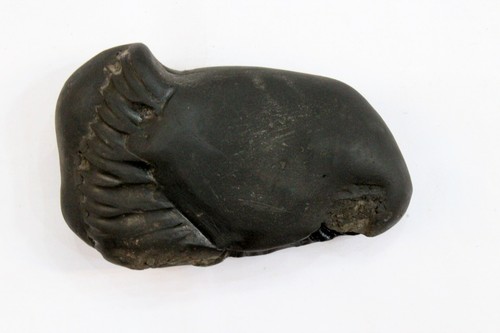 Antico Matsya Shaligram 3 pollici wt-143 origine fiume Gandaki Nepal decorazione tempio - Foto 4 di 4