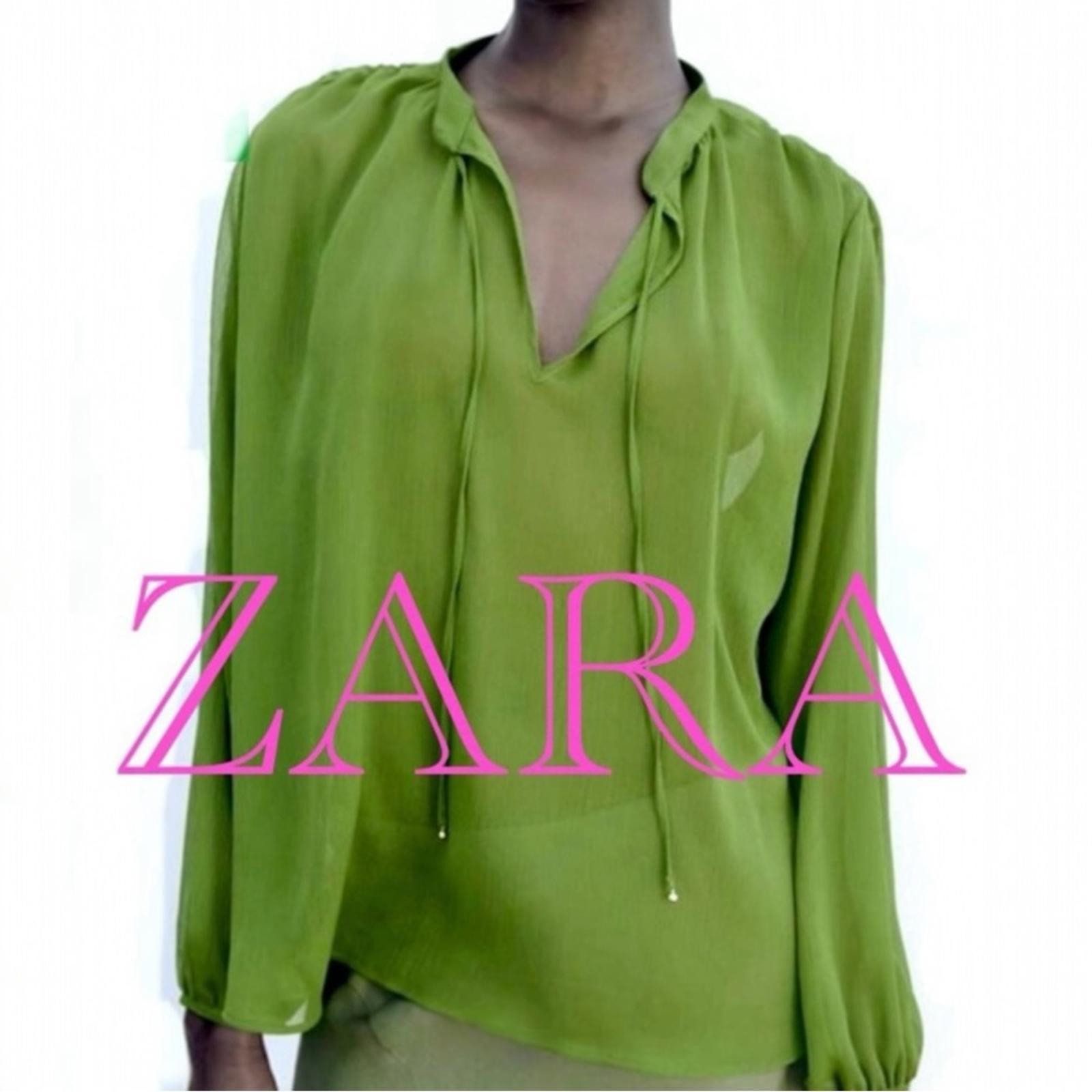 Zara Pistachio Green Sheer Tie Neck Blouse Top Sm… - image 1