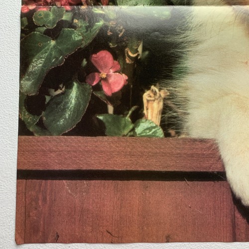 Poster Vintage Troll Associates PUPPY BUDDIES 1988 A144 24x17 Pollici Cane Wall Art - Foto 13 di 19