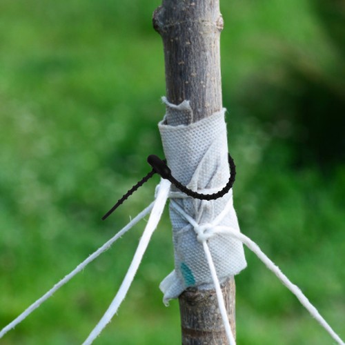 10 szt. Silikonowy krawat Wielokrotnego użytku Silikonowy kabel kablowy - Zdjęcie 6 z 12