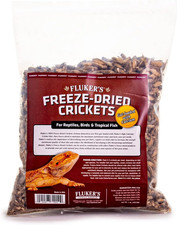 Fluker's Freeze Dried Crickets High Protein Reptile Food 1 Lb