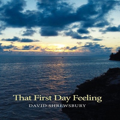 That First Day Feeling David Shrewsbury Hardcover Author Solution