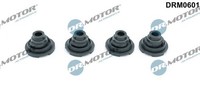 Dr.Motor Automotive Dichtung, Zylinderkopfhaube DRM0601 Passend FüR Nissan