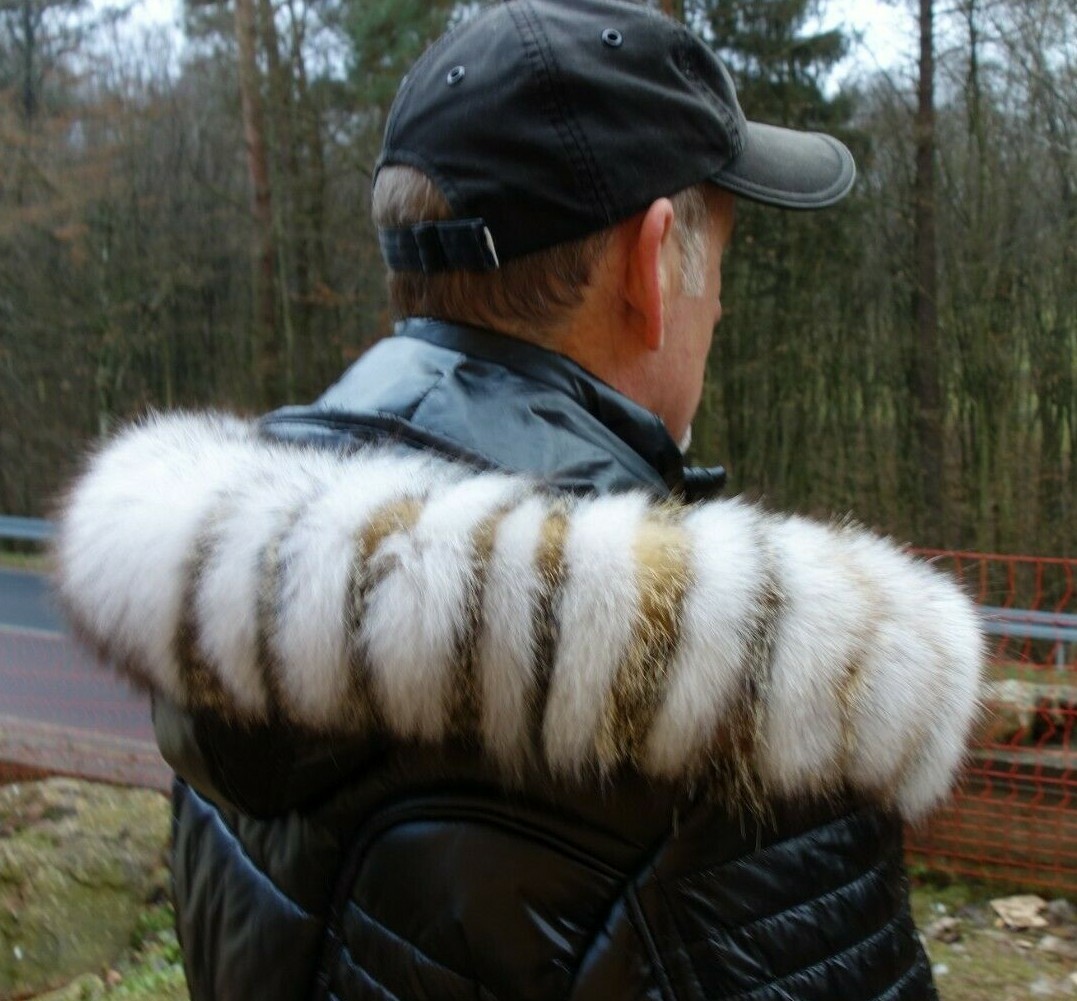 Bild 1 von 5