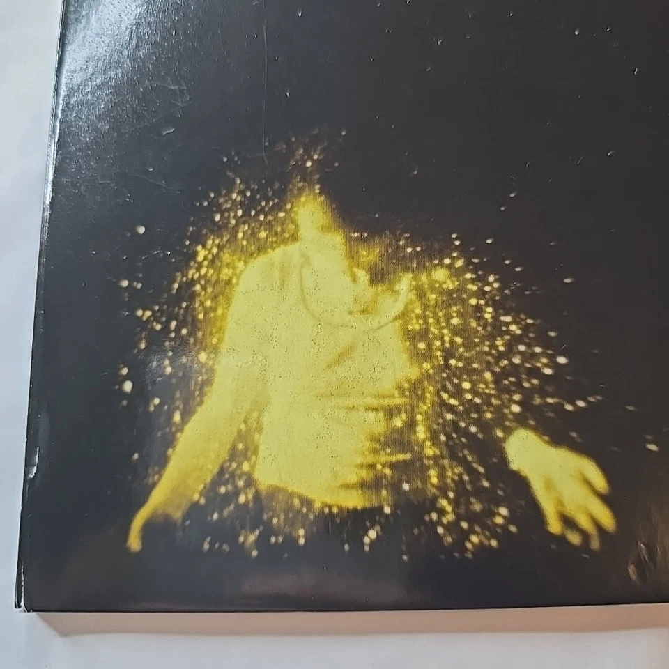 My Love is Cool - Wolf Alice - CD - 2015 - Dirty Hit - VGC+ Foto 2 de 4