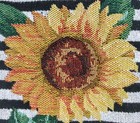 Bild 7 von 12