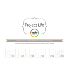 Project Life BIG VARIETY PK #1 (60) 12x12 POCKET PAGE PROTECTOR scrapbook 380001