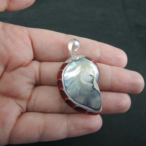 925 Sterling Silver Medium-Small Dark Red Nautilus Shell Pendant Jewelry NSP-314 - Picture 5 of 6