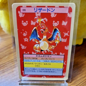 Charizard Topsun | eBay