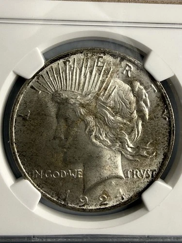 1924 $1 Peace Dollar NGC MS64 - Very Sharp Details Silver with Gold/Brown Toning