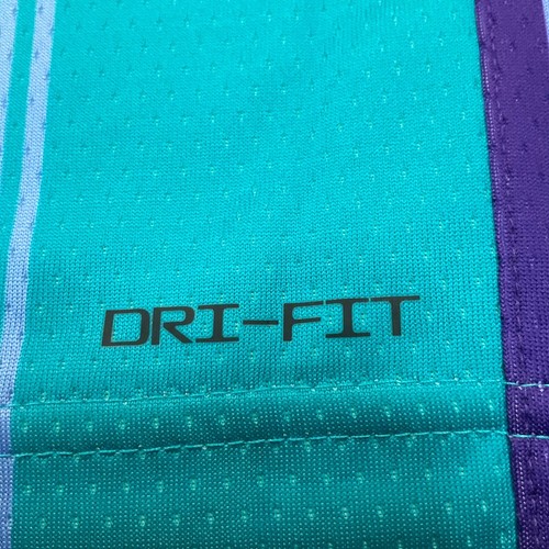 New Nike LaMelo Ball Charlotte Hornets Classic Swingman Jersey Men's Sz M $120 - Picture 10 of 12