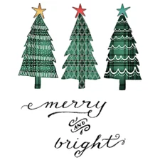 Merry & Bright Holiday  Sweatshirt/Lgsleeved  Sizes/Color                 