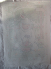 Foto 3 di 3