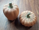 Terracotta Pumpkins Set of 2 Home and Garden Party Halloween Thanksgiving VTG