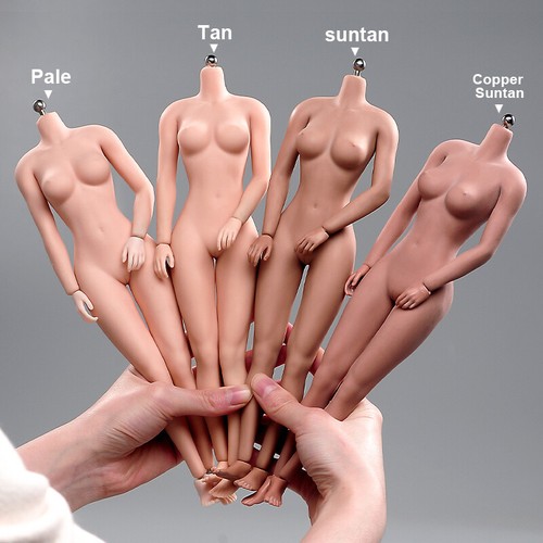 1/6 Suntan/Pale/Normal Large Bust Breast Seamless Body For 12''Female Figure Toy - Afbeelding 1 van 42