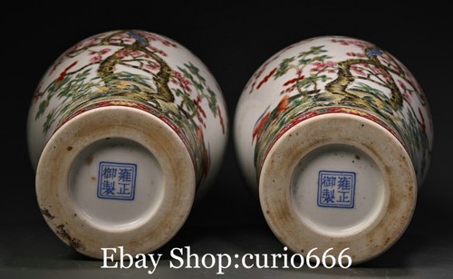 Paire de le moins cher pot à fleurs 9'' Yongzheng couleur porcelaine émaillée oiseau animal pot crock