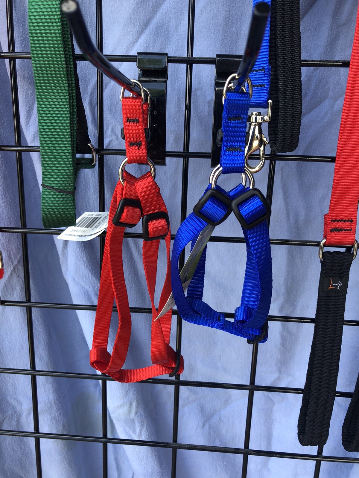 Nwt Dog Pet Collars & Leashes Lupine Brand Lifetime Guarantee Solid