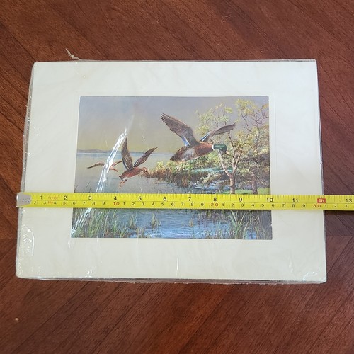 Vintage Mallard Ducks Opached Foil Art 9" x 12" uccellini lucido firmato da F. Osborne - Foto 6 di 8