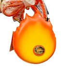 Bild 6 von 6