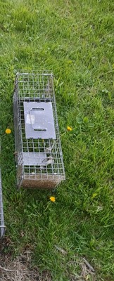X-Small 2-Door Professional Live Animal Cage Trap for Mice, Rat and Vole