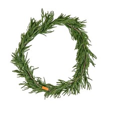 Christmas Garland 9-FT Realistic Norfolk Pine Mantel Fireplace Evergreen Real