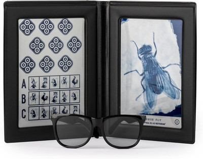 Stereo Fly Vision Test (SO001) for Evaluation of Gross Stereopsis and Fine Depth