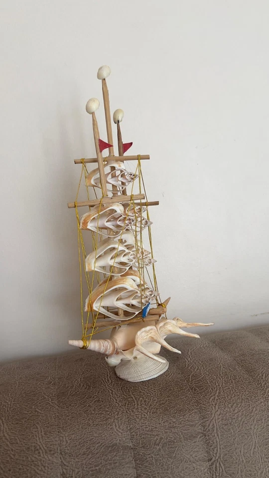 seashell accesorio hogar Foto 3 de 3