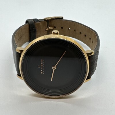 Skagen Ditte SKW2216 Women\'s Gray Leather Analog Dial Quartz Wrist Watch JNA563 s-l400.jpg main image 3