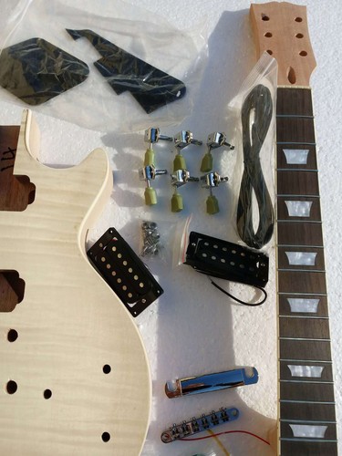 Project Electric Guitar Builder Kit DIY With All Accessories( L) - Picture 5 of 6