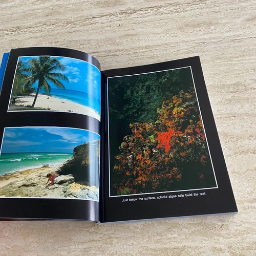 Marine Photography: Underwater Bahamas - Bob Friel - Diving / Coral Reef 1993 - Picture 13 of 20