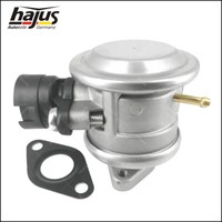 SekundäRluftpumpsystem Zusatzwasserpumpe Ventil FüR Audi A3 TT VW Bora Golf 4